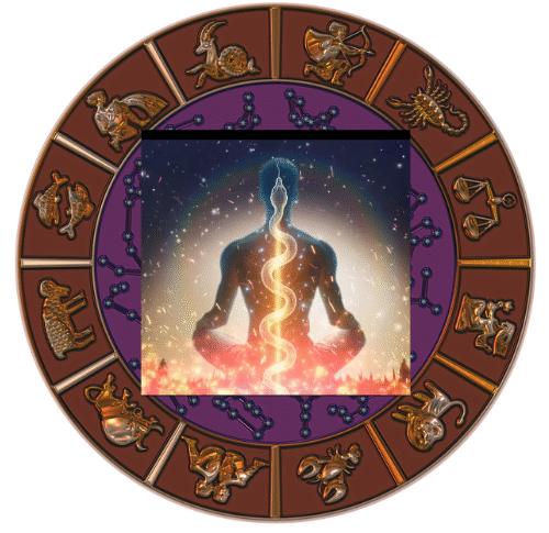 DAILY DIVINE SIGNS